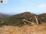 Makry-Gialos Kreta, Pefki - Makry Gialos Großes Grundstück mit Meerblick zu verkaufen! Grundstück kaufen